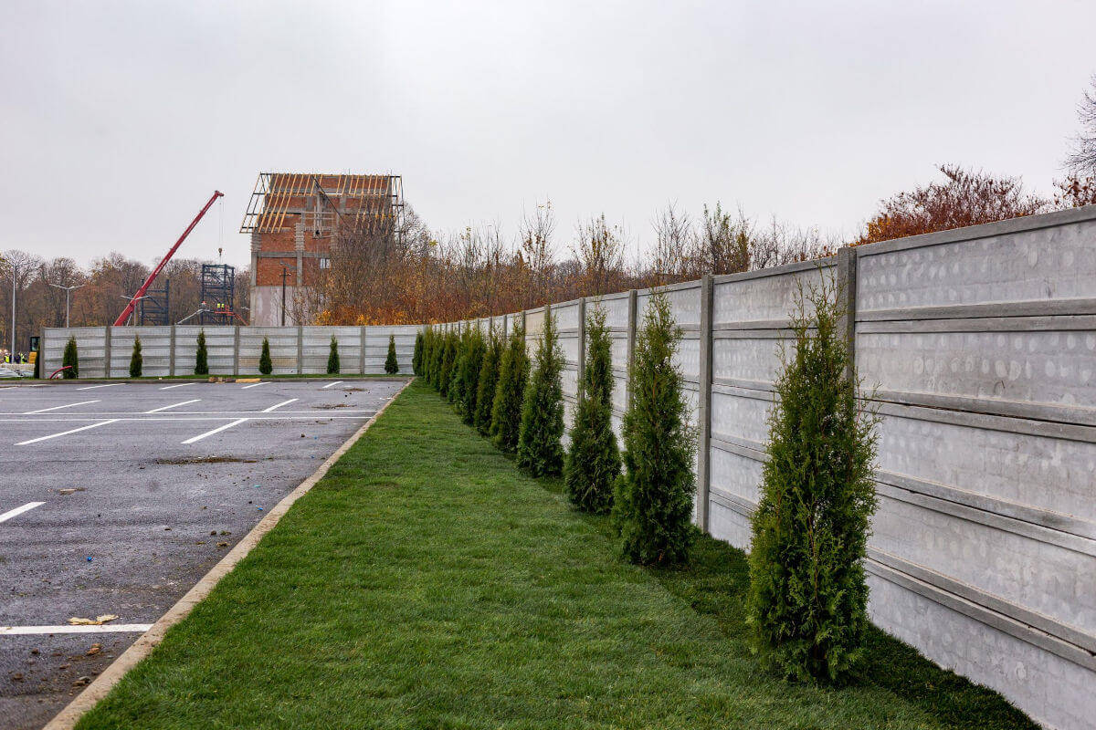 peisagistica spatii comerciale - Bogardens